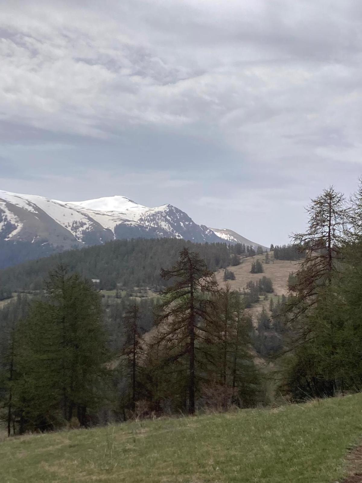 Chalet Luane Pres De Valberg Beuil Dış mekan fotoğraf